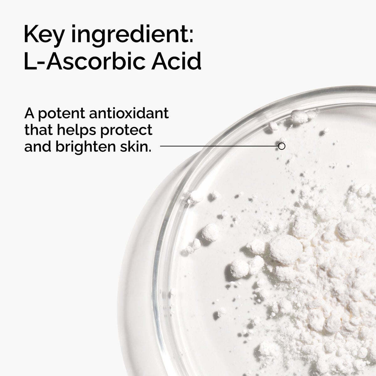 100-l-ascorbic-acid-powder-s2 FY25-D41247-ORD-Web-PDP-100-LAscb-Pwd-1x1-EN-2a.jpg