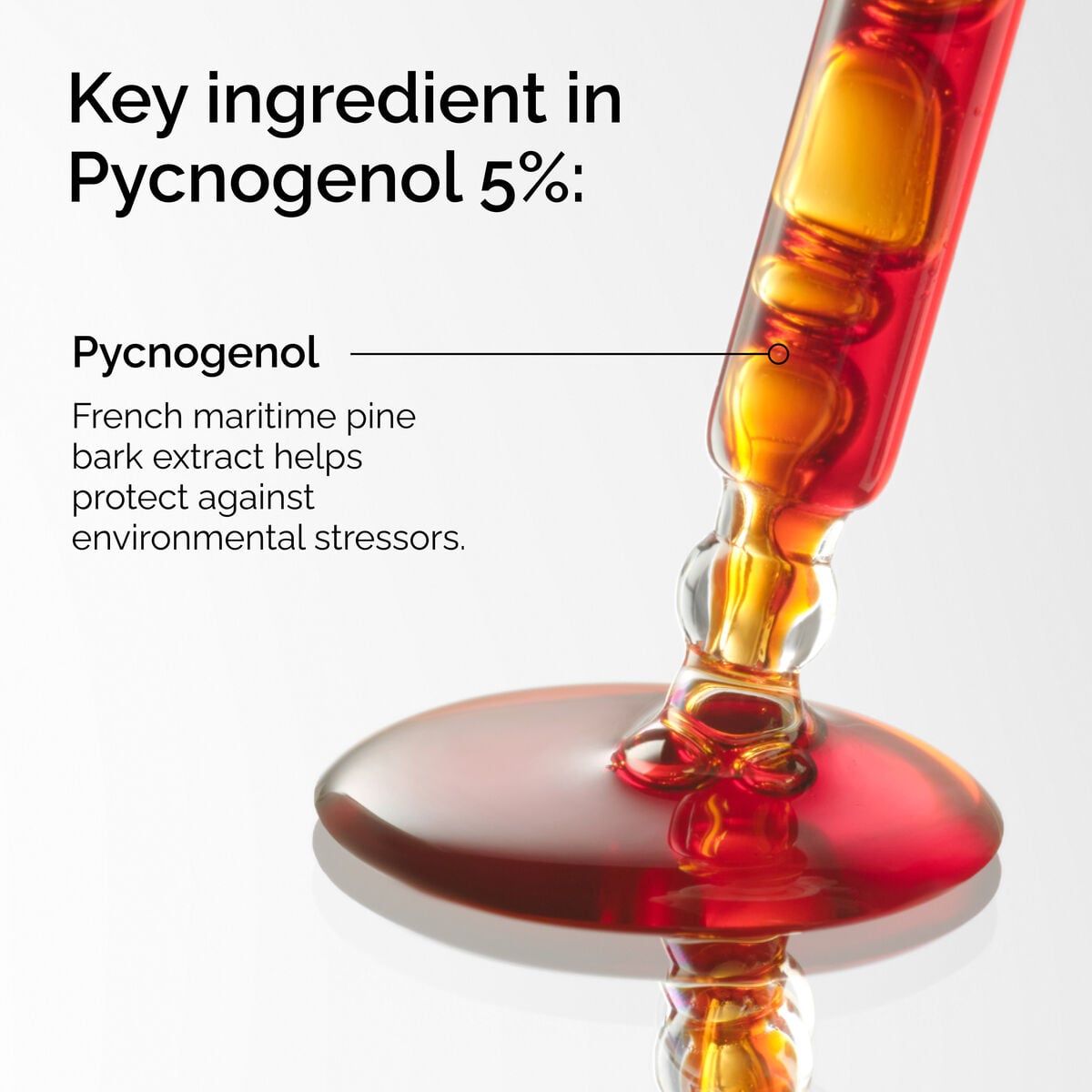 pycnogenol-5-e9 FY25-D41247-ORD-Web-PDP-Pyc-5pct-1x1-EN-2a.jpg
