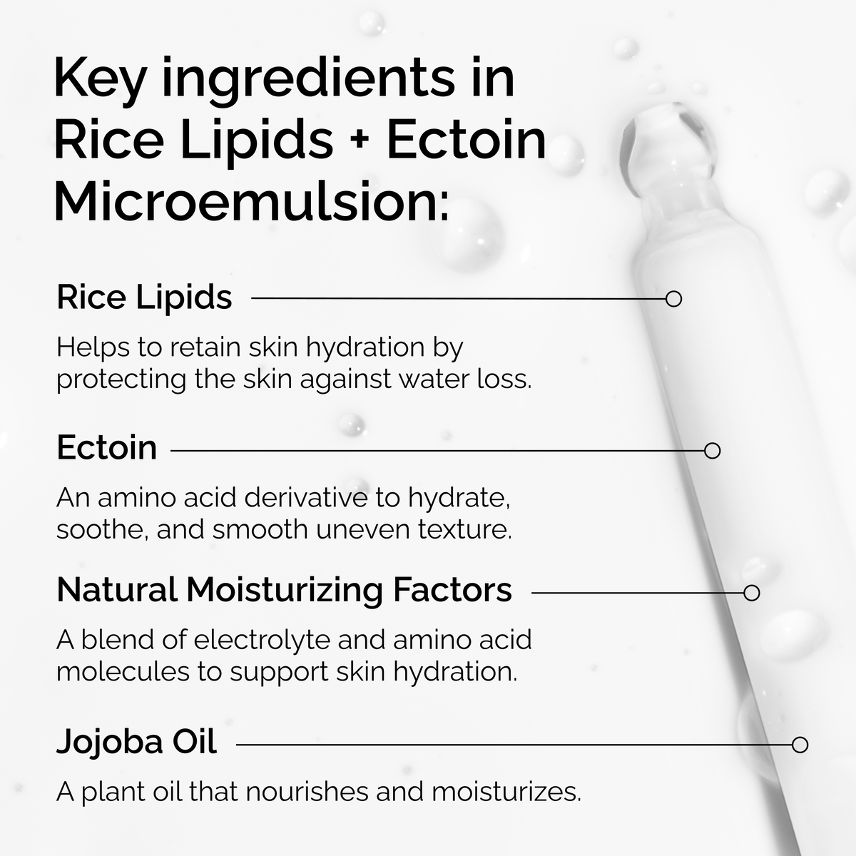 rice-lipids-ectoin-microemulsion-v3 ord-rice-lipids-ectoin-microemulsion-key-ingredients.png