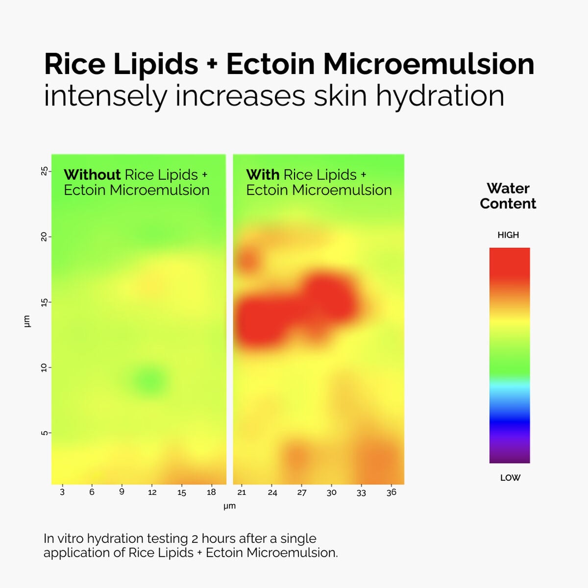 rice-lipids-ectoin-microemulsion-v3 ord-rice-lipids-ectoin-microemulsion-thermal-before-after.jpg